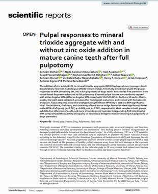 Pulpal responses to mineral trioxide aggregate with and without zinc oxide addition in mature canine teeth after full pulpotomy